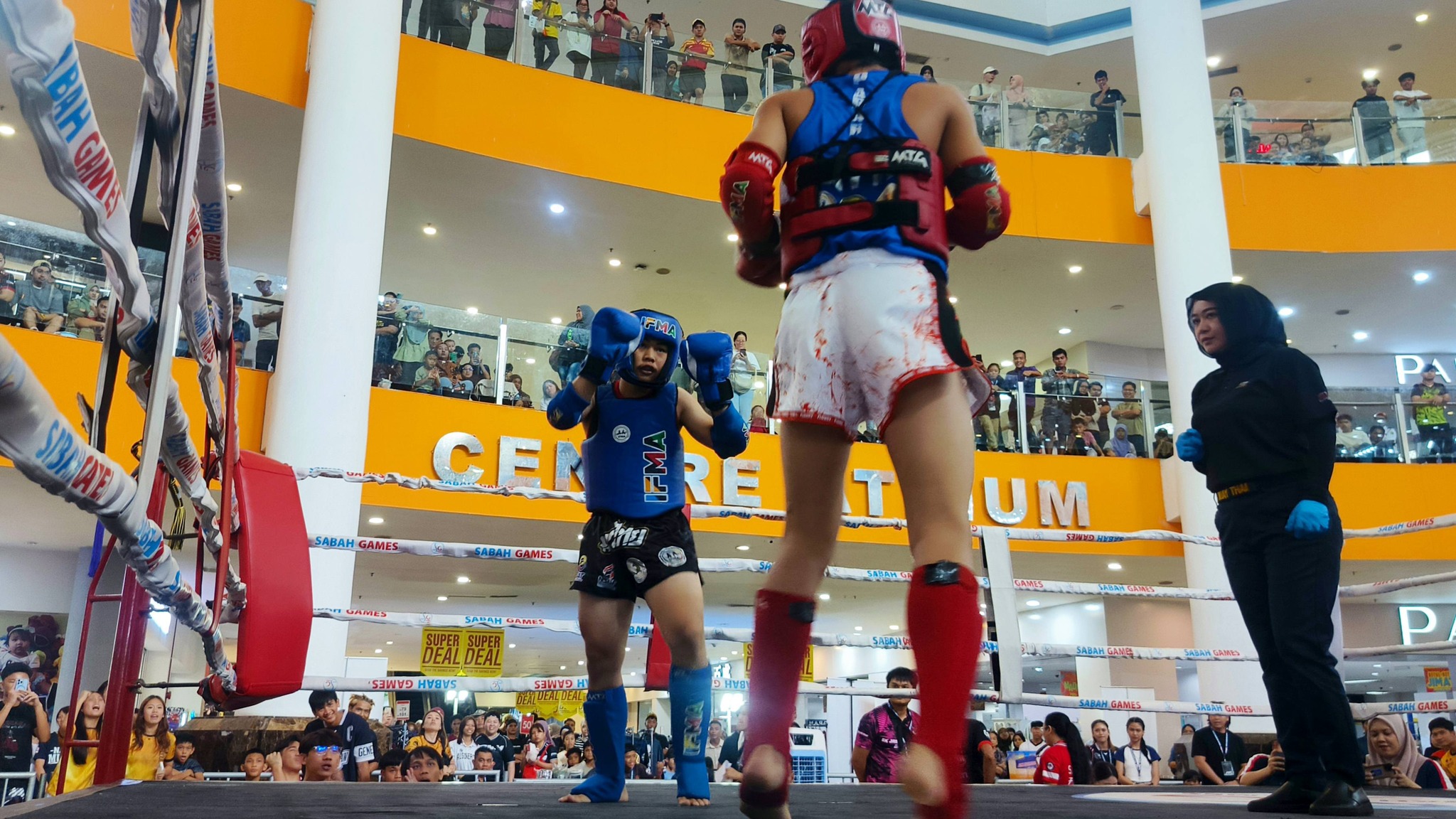 Fighters in Action